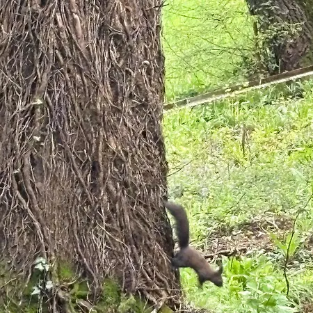 Soul アパート Vrnjačka Banja