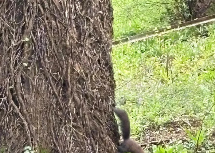 Soul Apartament Vrnjačka Banja